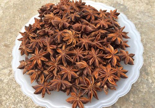 Hồi nhuộm đỏ - Nông Sản Gia Vị TH - Công Ty TNHH Xuất Nhập Khẩu Gia Vị TH