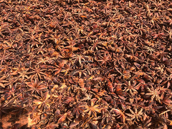 Hồi vụn - Nông Sản Gia Vị TH - Công Ty TNHH Xuất Nhập Khẩu Gia Vị TH