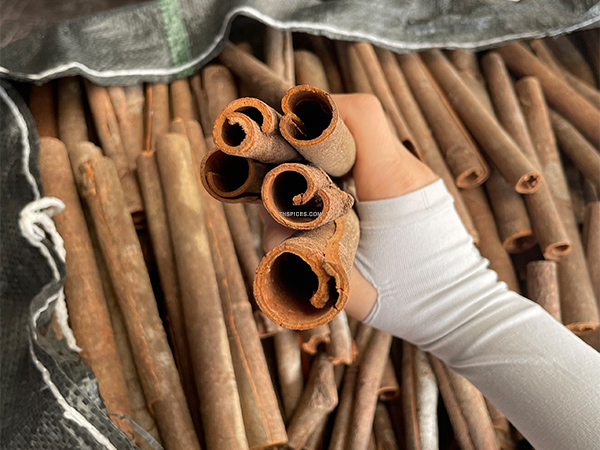 Quế ống - Nông Sản Gia Vị TH - Công Ty TNHH Xuất Nhập Khẩu Gia Vị TH