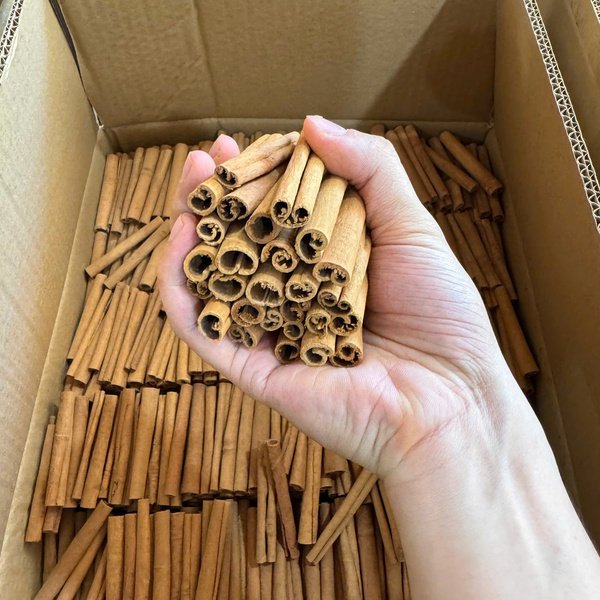 Quế sáo - Nông Sản Gia Vị TH - Công Ty TNHH Xuất Nhập Khẩu Gia Vị TH