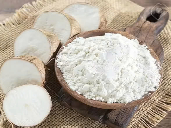 Tinh bột sắn/ Tinh bột khoai mì - Nông Sản Gia Vị TH - Công Ty TNHH Xuất Nhập Khẩu Gia Vị TH