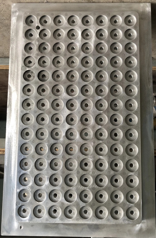 Khuôn mút xốp vỉ trồng cây