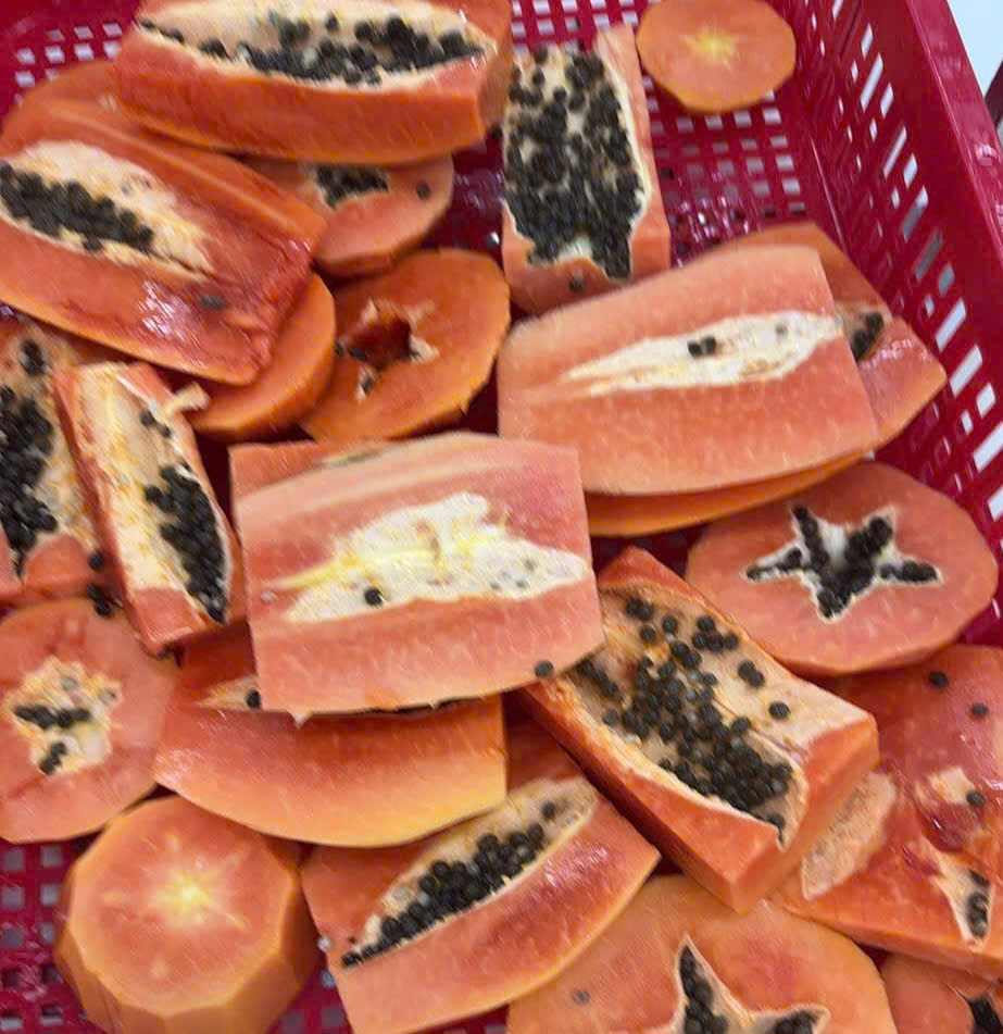 Đu đủ