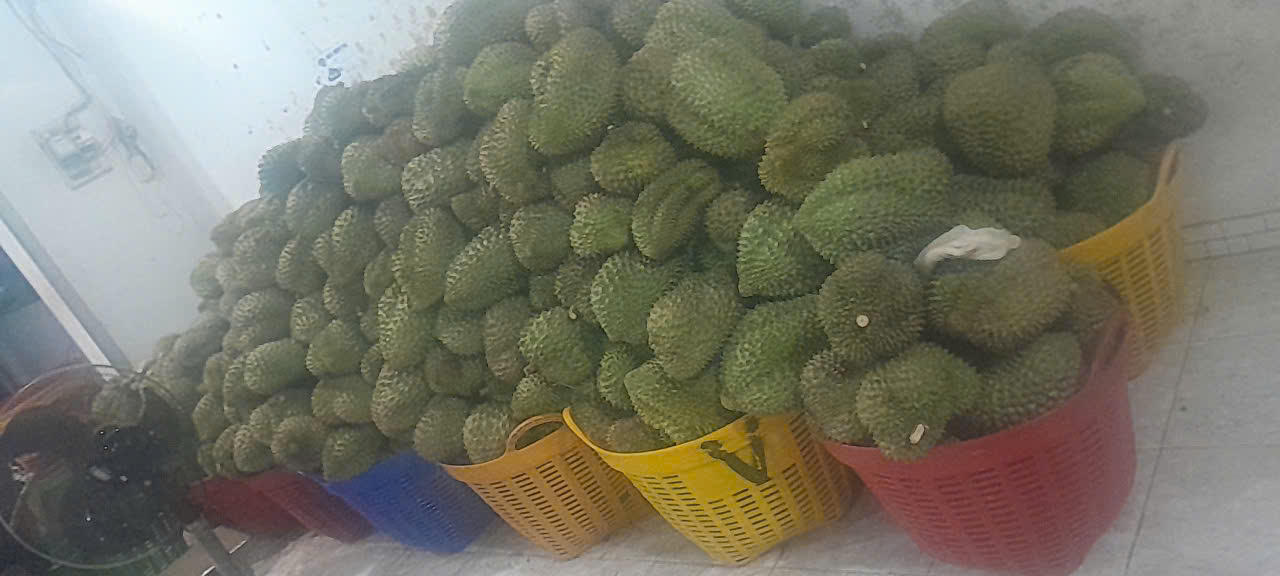 Sầu riêng
