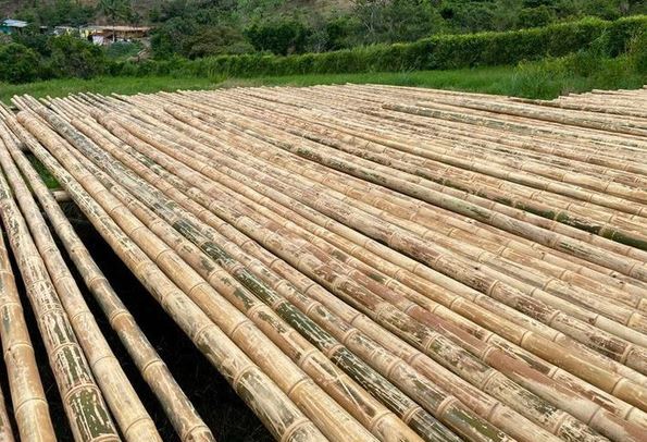 Sản phẩm mây tre đan