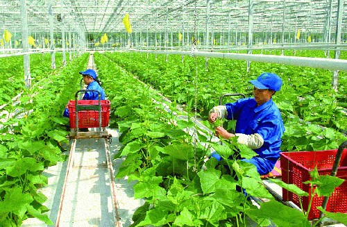 Lao động thời vụ - Cung ứng Lao Động XB Flow Technologies - Công Ty TNHH XB Flow Technologies