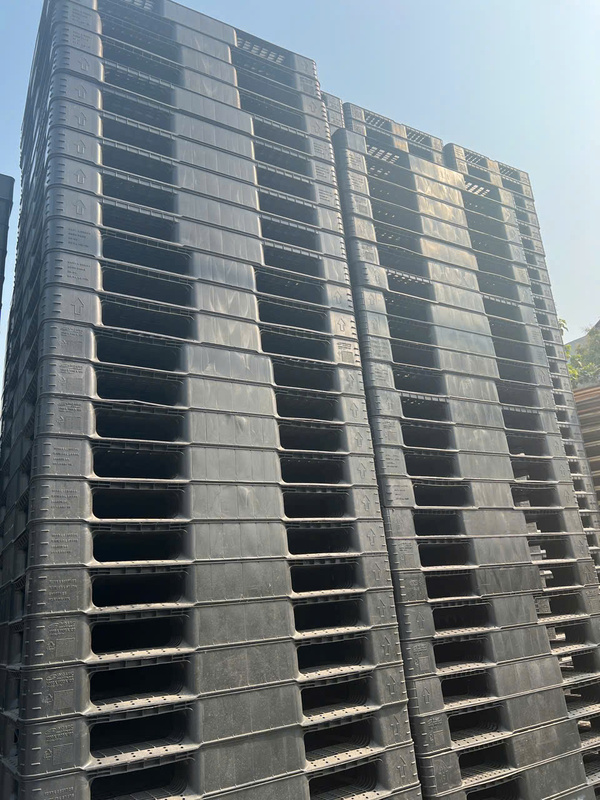 Pallet nhựa