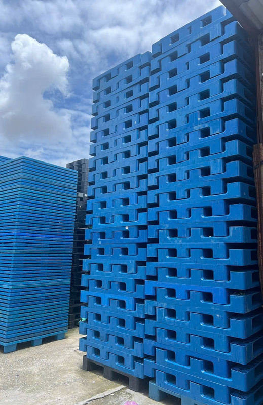 Pallet nhựa