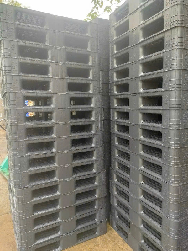 Pallet nhựa