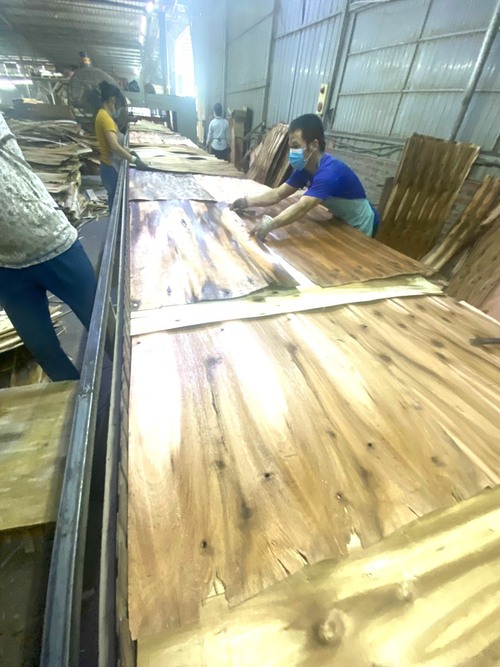 Hình ảnh nhà máy