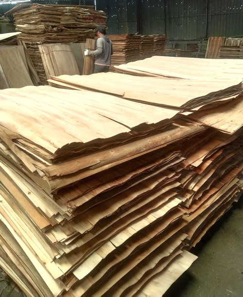 Hình ảnh nhà máy