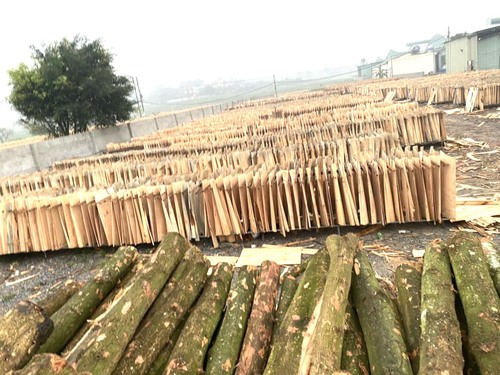 Hình ảnh nhà máy