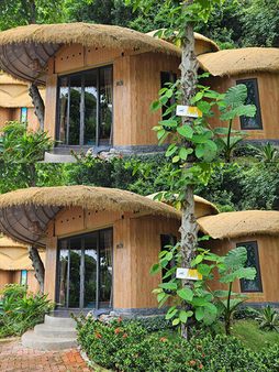 Bungalow 2 phòng 101- 01A (2 giường và 1 WC) - Tràng An Royal - Hộ Kinh Doanh Phạm Phương Dung