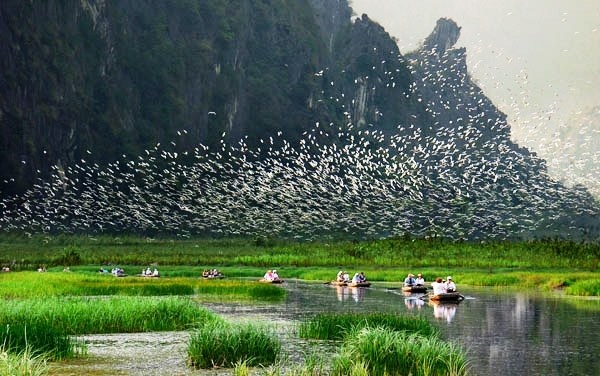 Đầm Vân Long - Tràng An Royal - Hộ Kinh Doanh Phạm Phương Dung