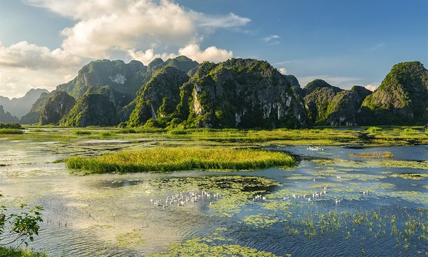 Đầm Vân Long - Tràng An Royal - Hộ Kinh Doanh Phạm Phương Dung