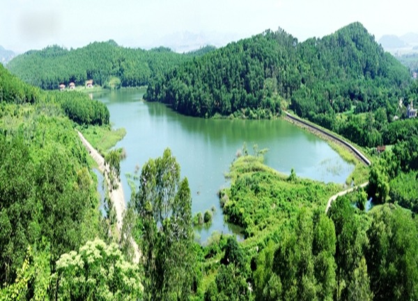 Hồ Đồng Chương - Tràng An Royal - Hộ Kinh Doanh Phạm Phương Dung