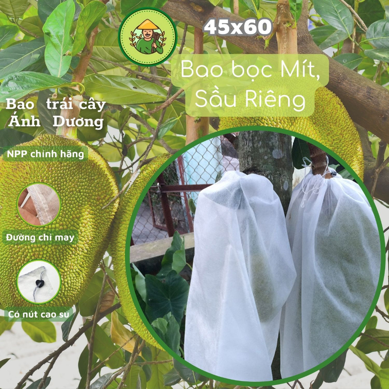 Túi bọc mít, sầu riêng