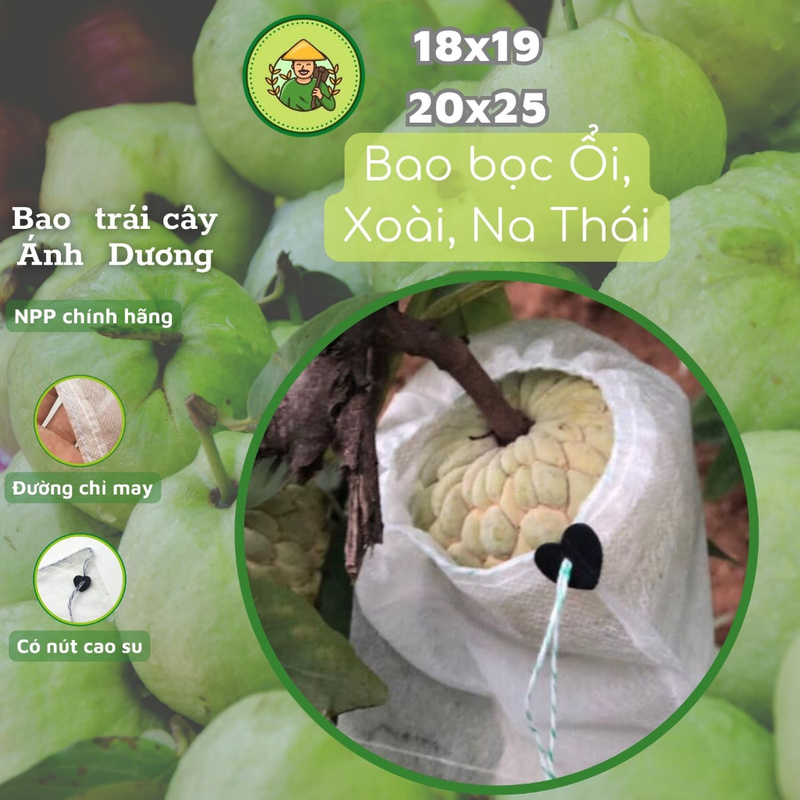 Túi bọc ổi, xoài, na Thái