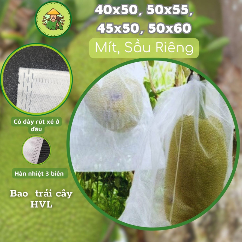 Túi bọc mít, sầu riêng