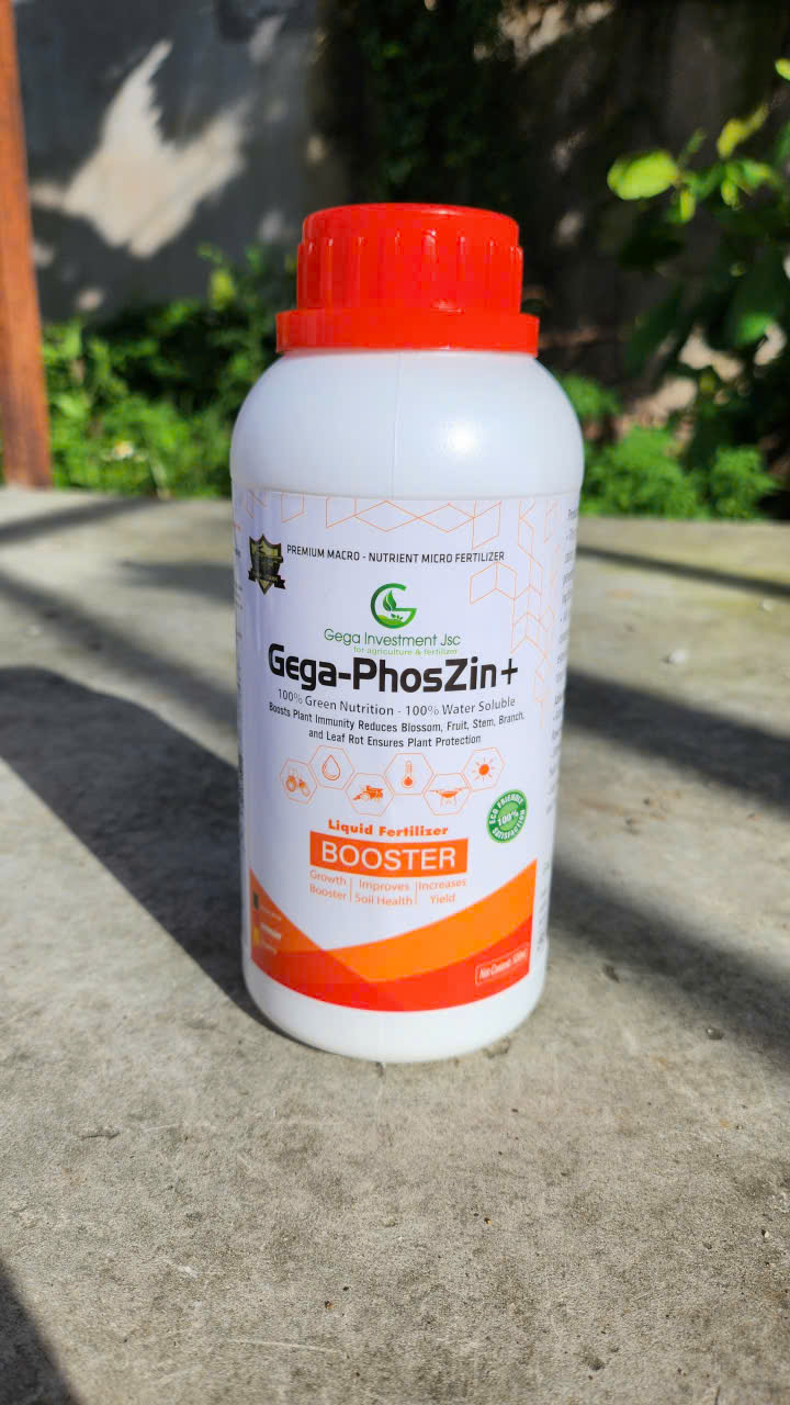 Sản phẩm