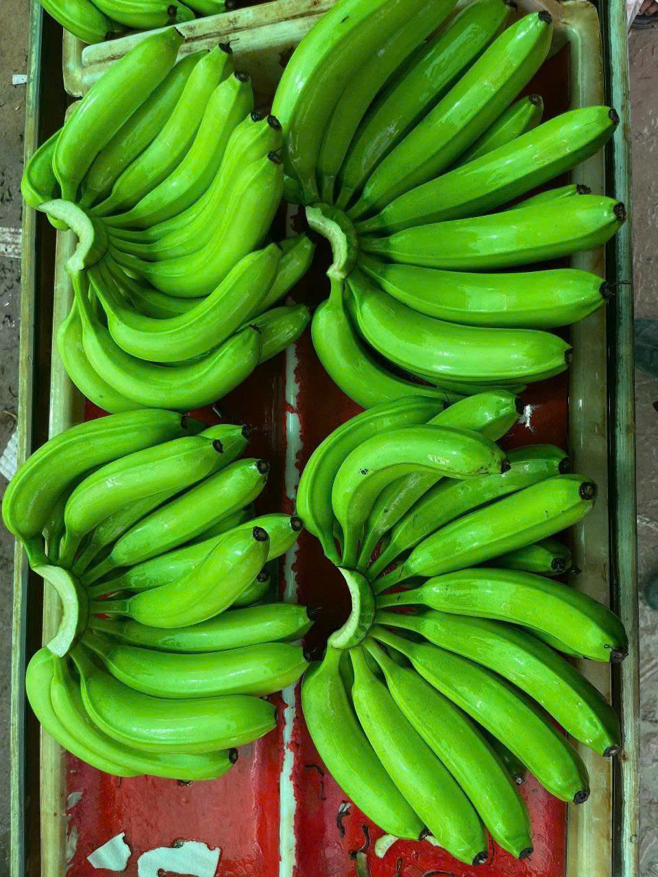 Chuối tiêu - Công Ty TNHH Quốc Tế Sankayou