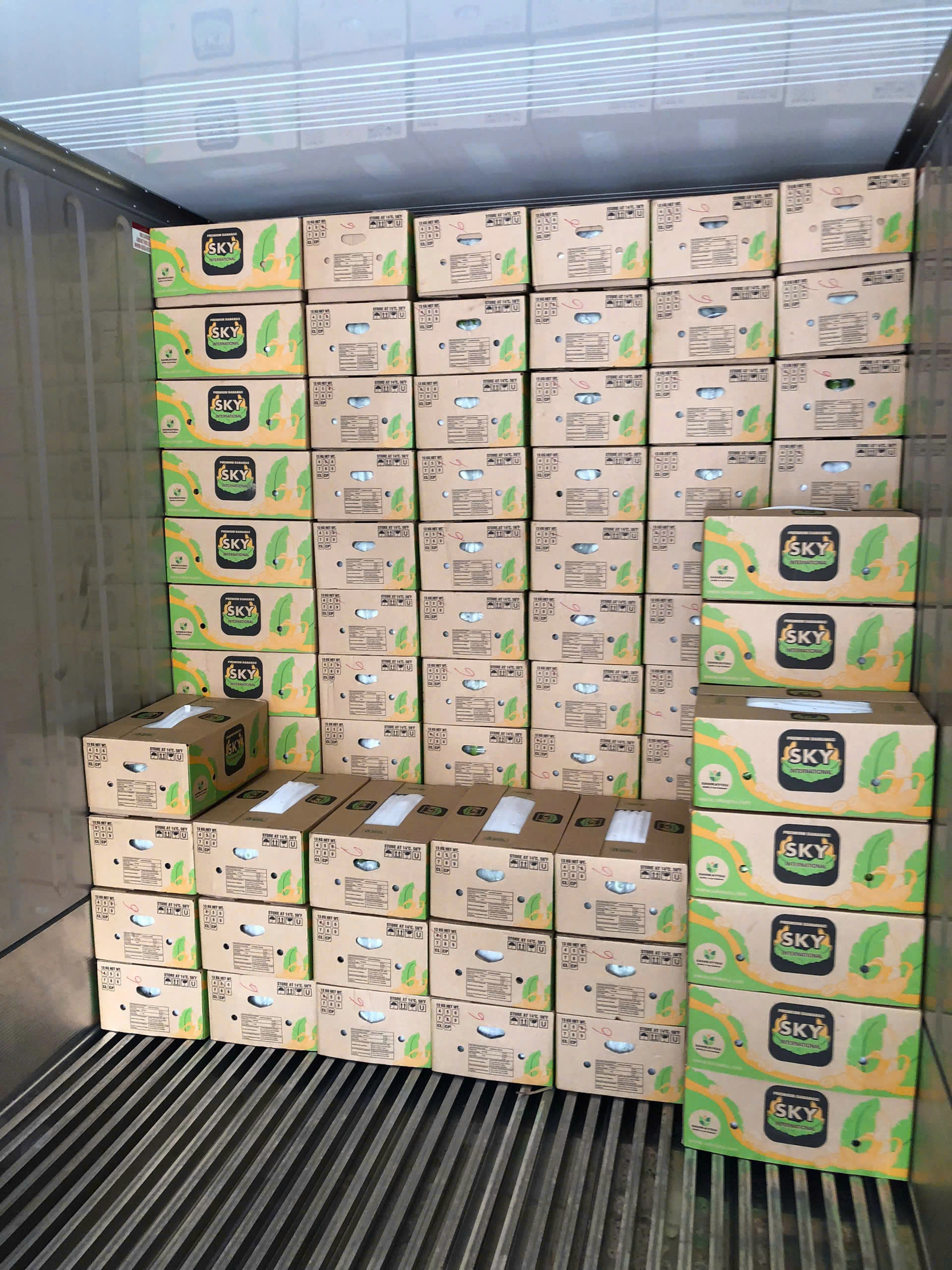 Chuối xuất khẩu - Công Ty TNHH Quốc Tế Sankayou