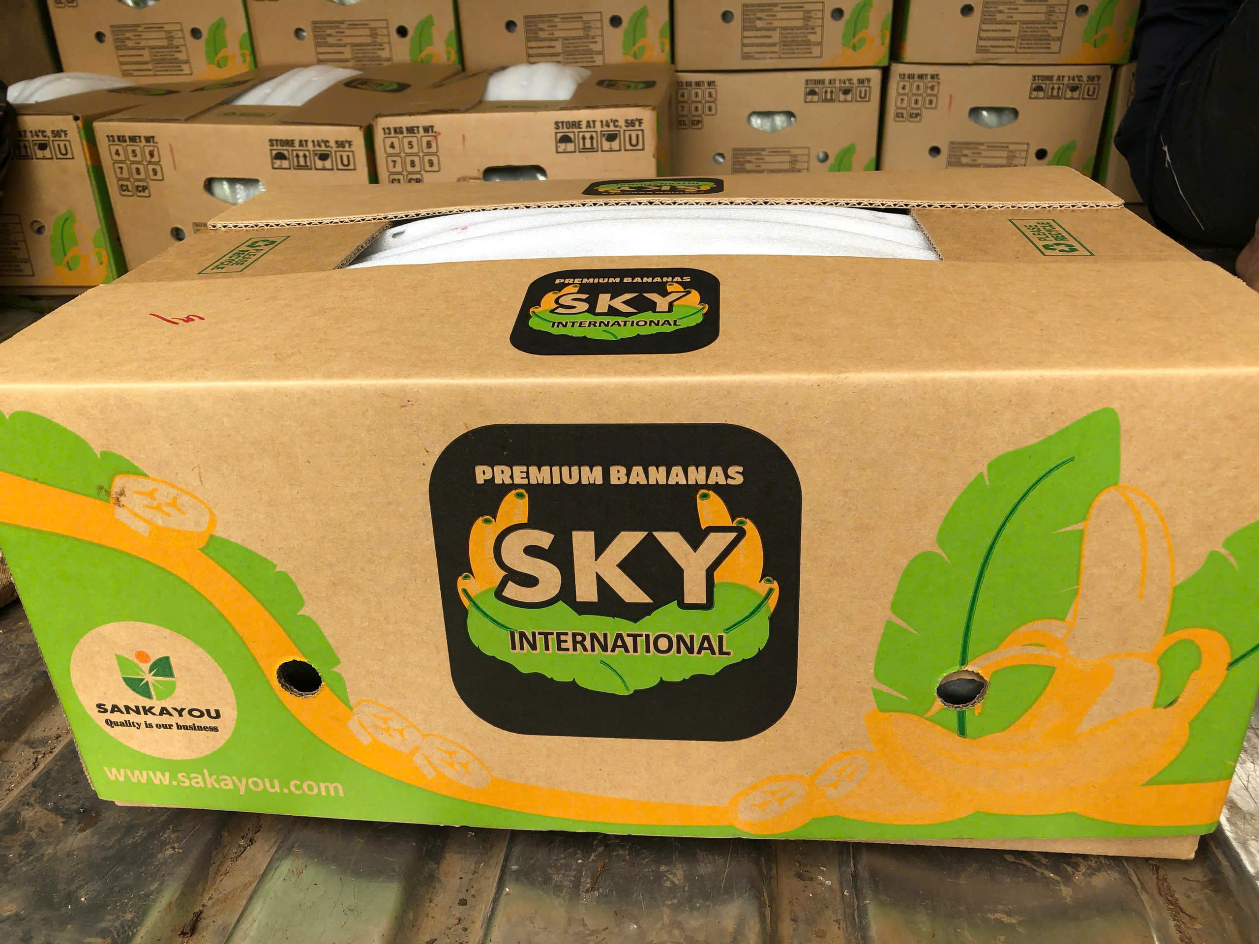 Chuối xuất khẩu - Công Ty TNHH Quốc Tế Sankayou