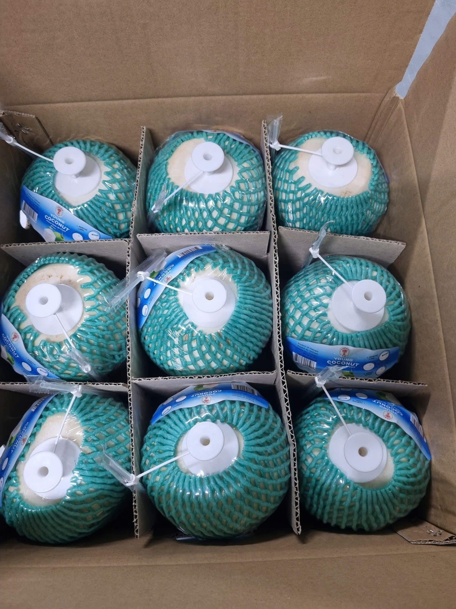 Dừa tươi - Công Ty TNHH Quốc Tế Sankayou