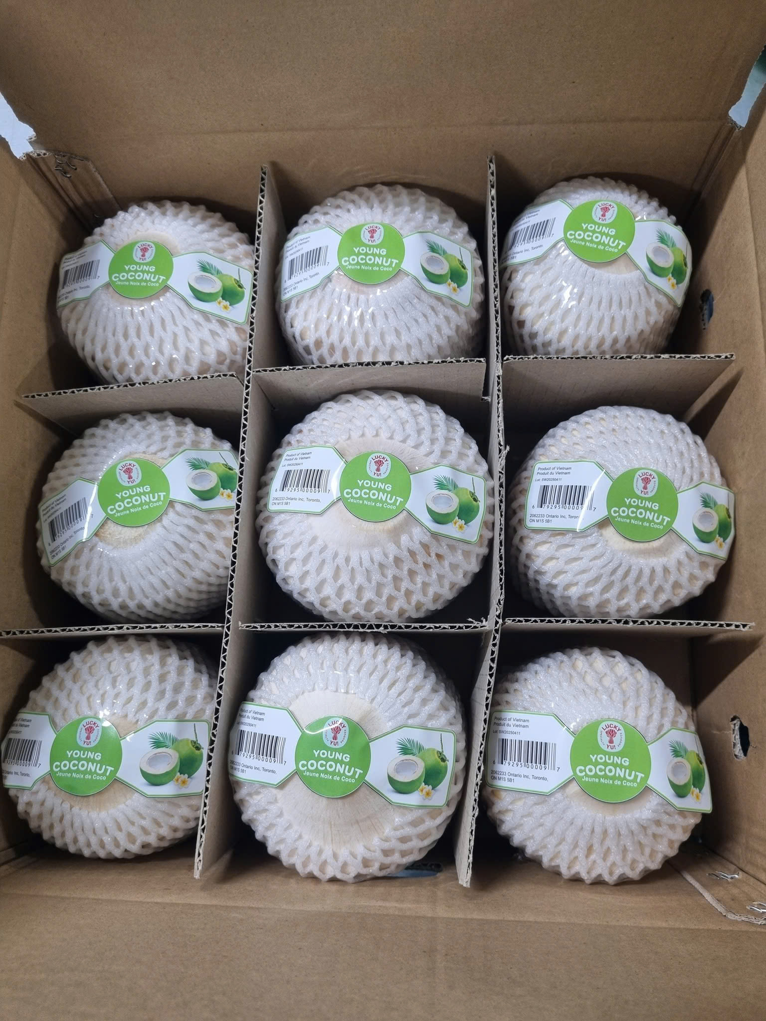 Dừa tươi - Công Ty TNHH Quốc Tế Sankayou