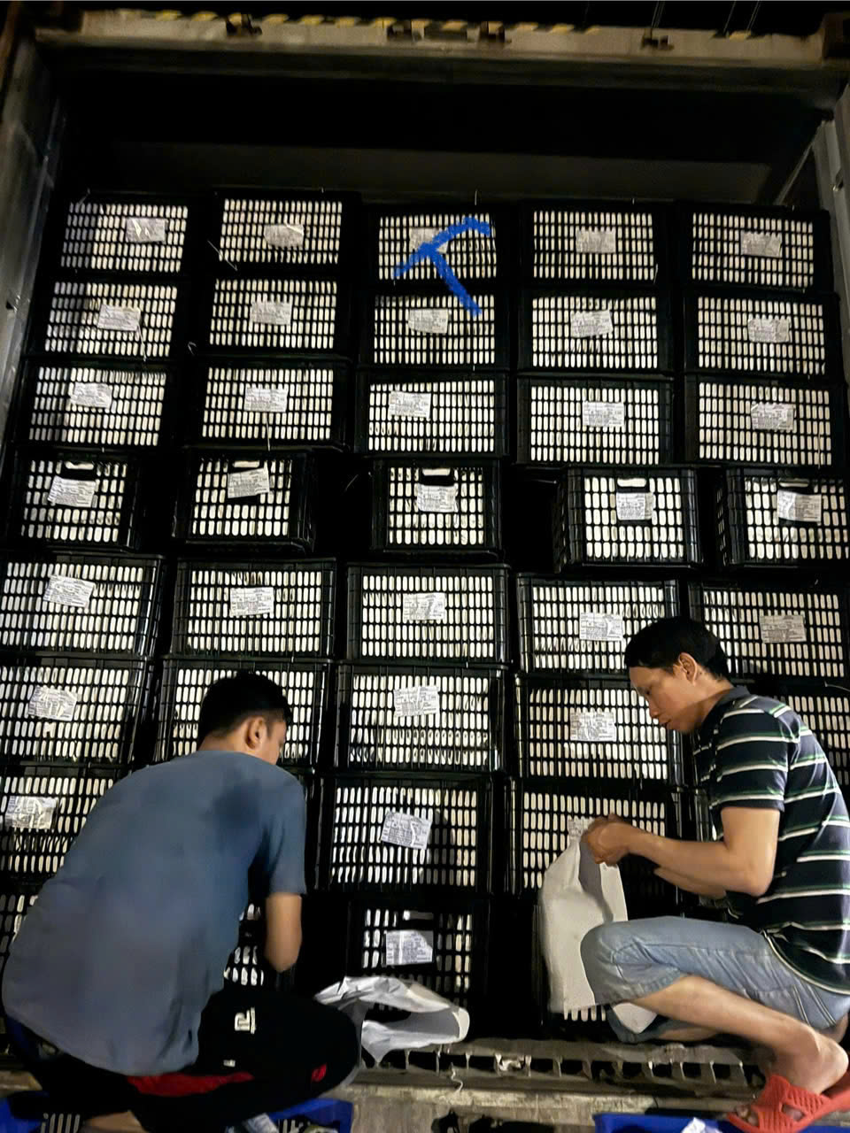 Nông sản xuất khẩu - Công Ty TNHH Quốc Tế Sankayou