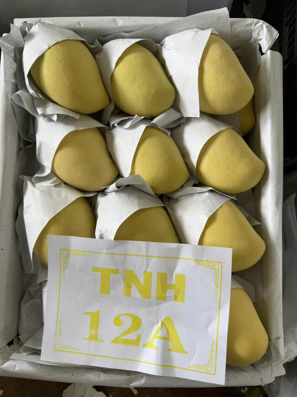 Xoài tươi - Công Ty TNHH Quốc Tế Sankayou