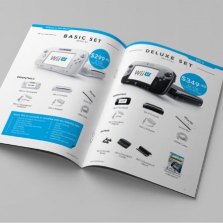 In catalogue giới thiệu sản phẩm