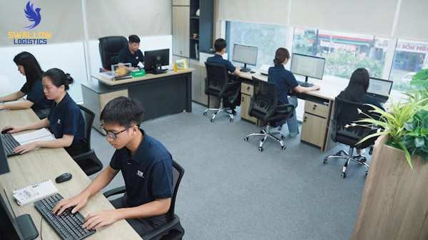 Hình ảnh Công Ty Cổ Phần Logistics Swallow Việt Nam