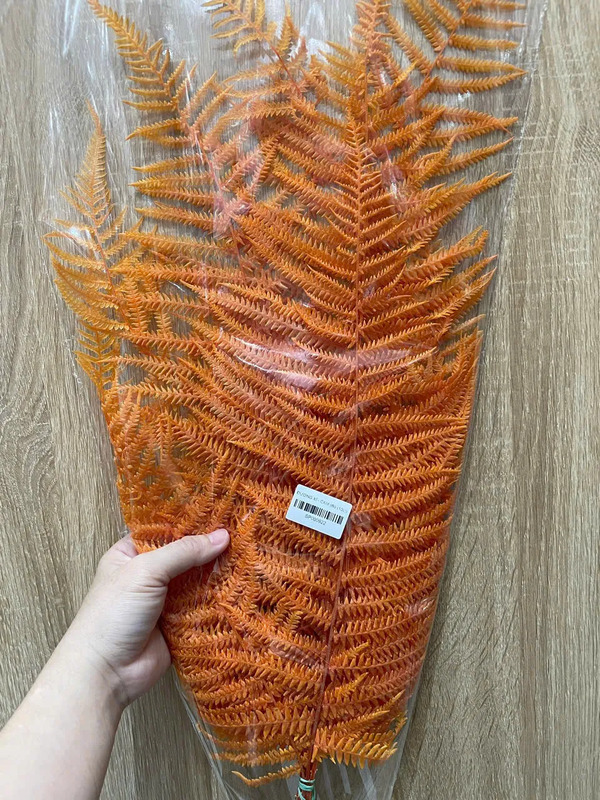 Lá dương xỉ khô