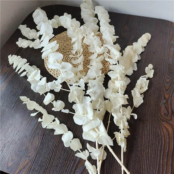 Lá táo trắng