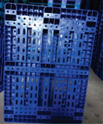 Pallet nhựa