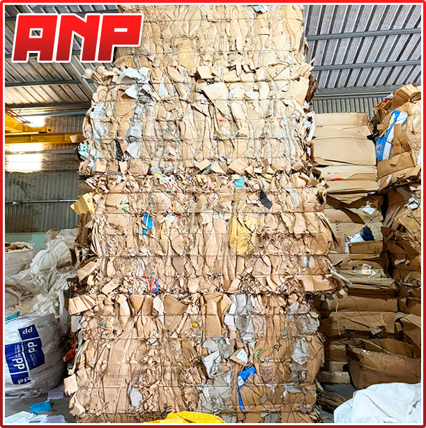 ép giấy bìa cứng