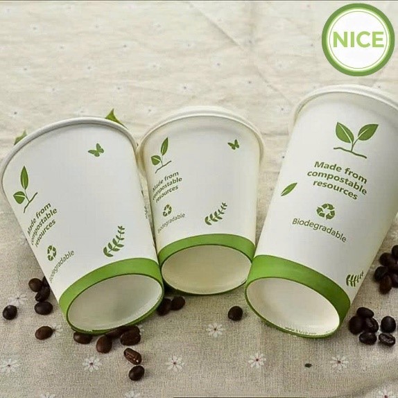 Ly 1 lớp giấy PLA tự phân hủy sinh học - Bao Bì Giấy Và Nhựa Nice - Công Ty TNHH Quốc Tế Nice