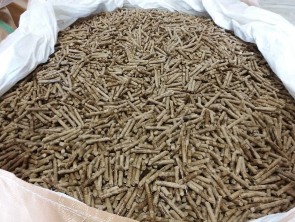 Hình ảnh hoạt động công ty Vận Chuyển Hải Phát