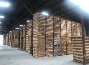 Hình ảnh hoạt động công ty Vận Chuyển Hải Phát