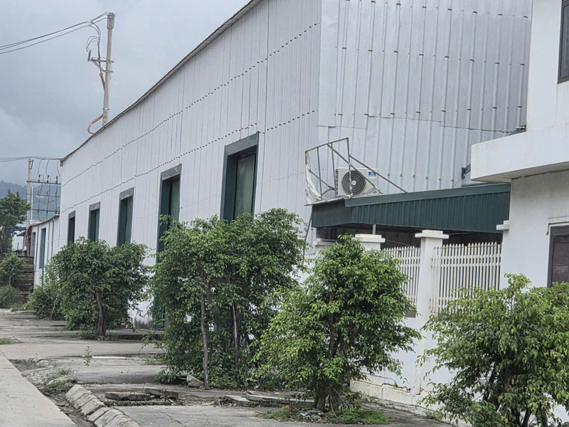 Hình ảnh nhà máy Đỗ Ngọc