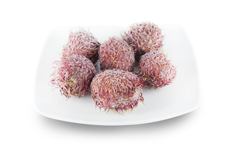 Chôm chôm đông lạnh - Trái Cây Đông Lạnh Hòa Phát - Công Ty TNHH Thương Mại Chế Biến Thực Phẩm Hòa Phát