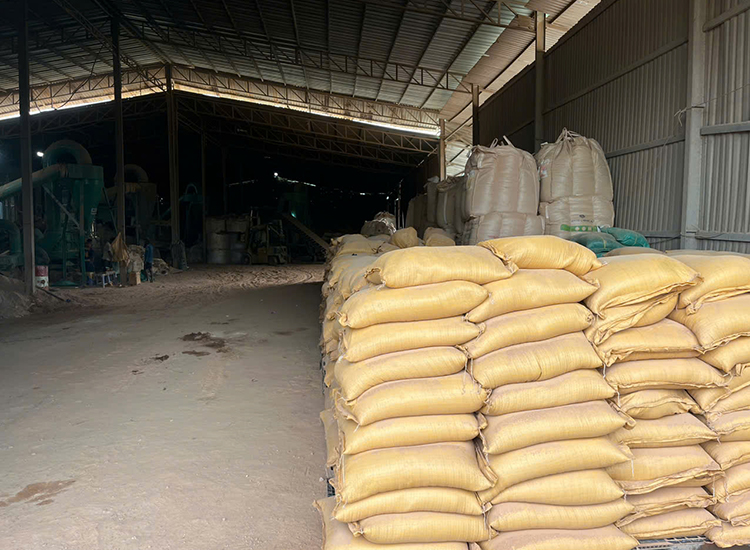 Hình ảnh nhà xưởng, kho hàng Nhất Phi Long