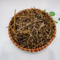 Cà ba thuỳ