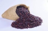 Gạo lứt