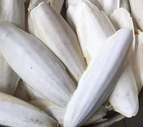 Xương mực khô