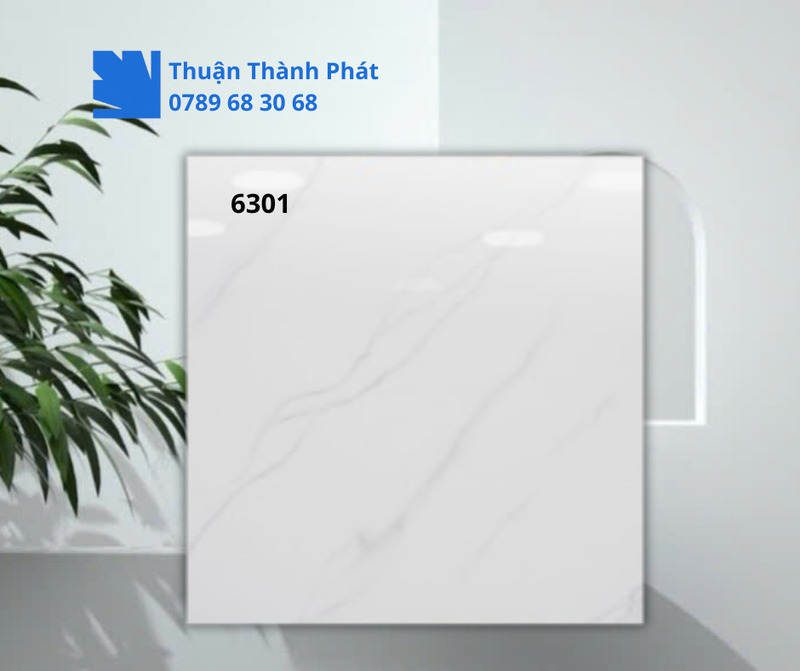 Gạch ốp lát 6301