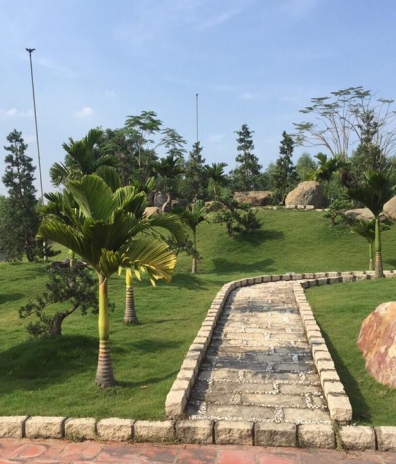 Thi công cảnh quan