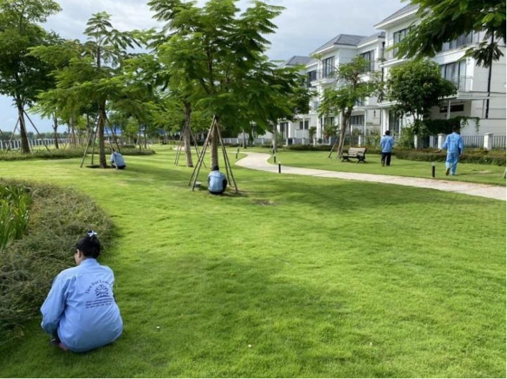 Khu biệt thự Nine South