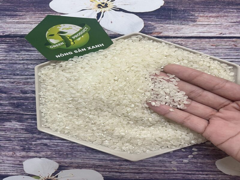 Gạo Japonica - Gạo Nông Sản Xanh - Công Ty Cổ Phần Xuất Nhập Khẩu Chế Biến Nông Sản Xanh